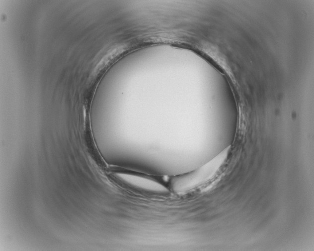 X0000087750109200706041111