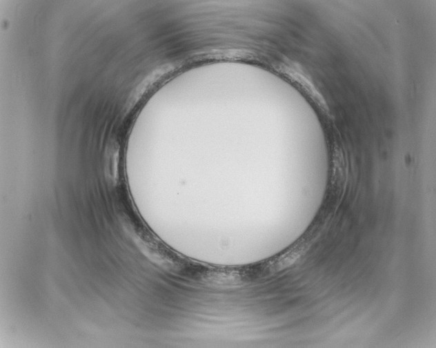 X0000087750110200706041111