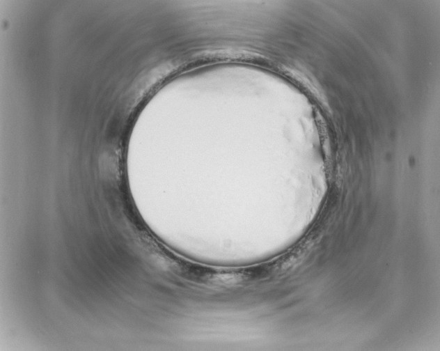 X0000087750111200706041111