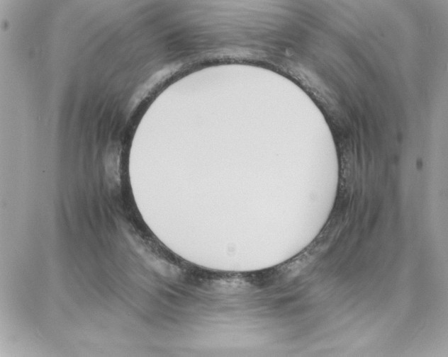 X0000087750112200706041111