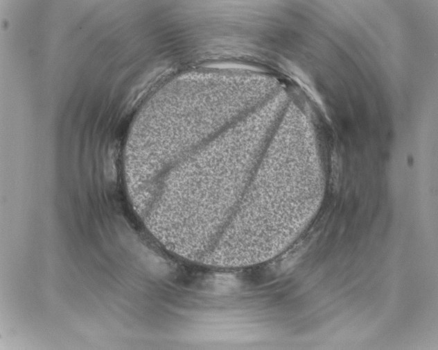 X0000087750114200706041111