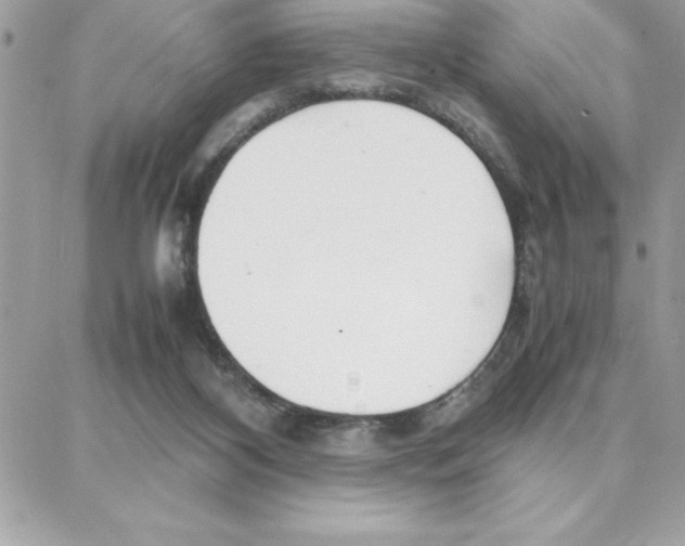 X0000087750116200706041111