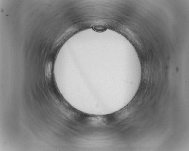 X0000087750118200706041111