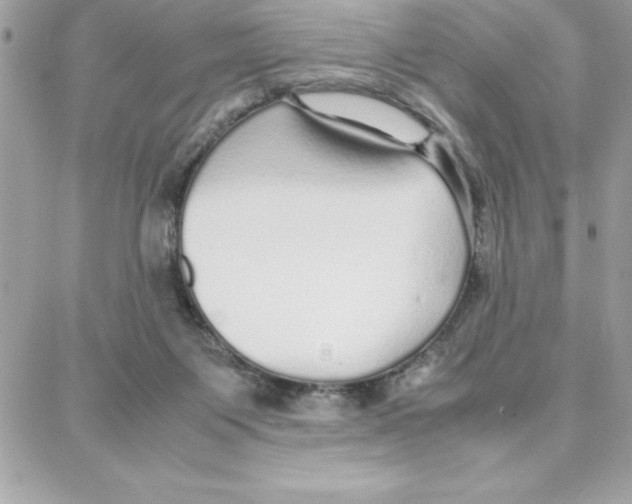 X0000087750119200706041111