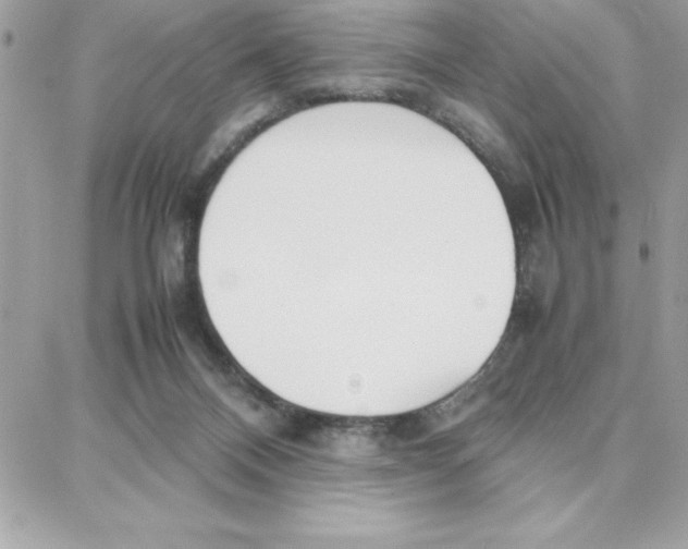 X0000087750120200706041111