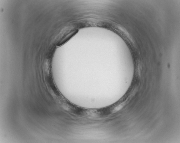 X0000087750121200706041111