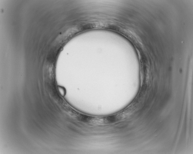 X0000087750123200706041111