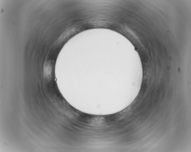 X0000087750124200706041111