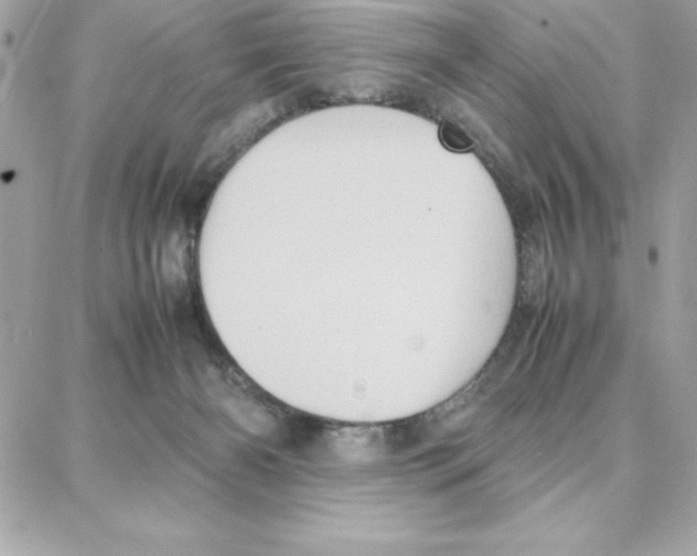 X0000087750126200706041111