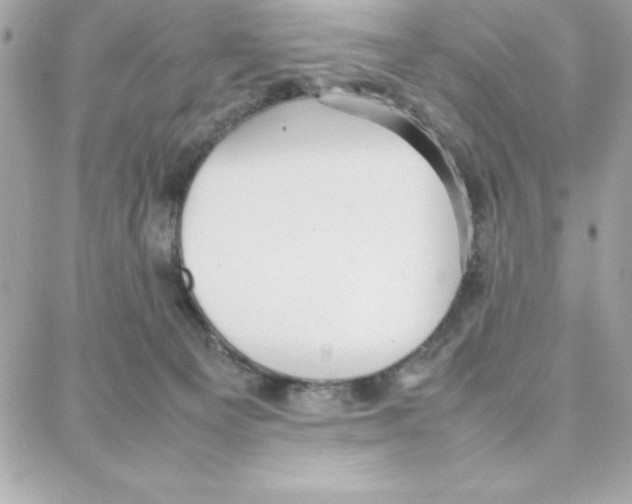 X0000087750129200706041111