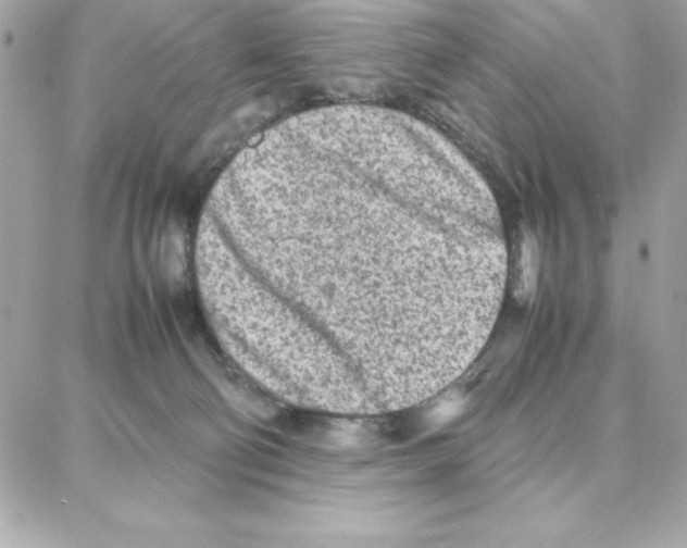 X0000087750130200706041111