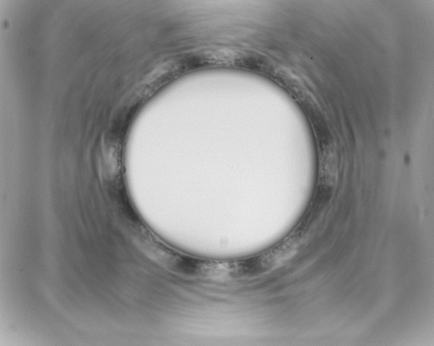 X0000087750131200706041111