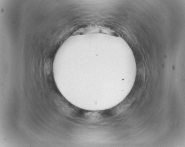 X0000087750133200706041111