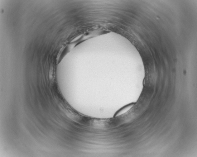 X0000087750134200706041111