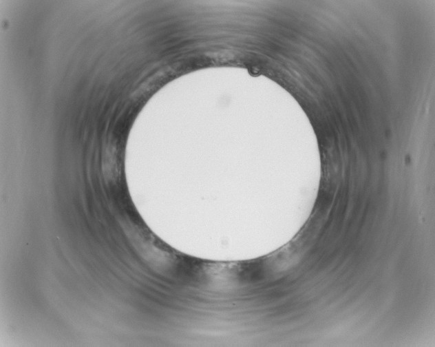 X0000087750136200706041111