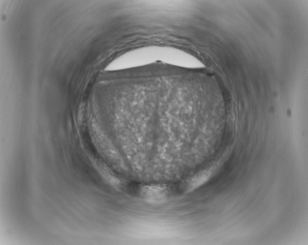 X0000087750139200706041111