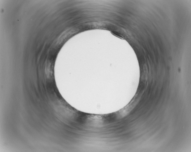 X0000087750140200706041111