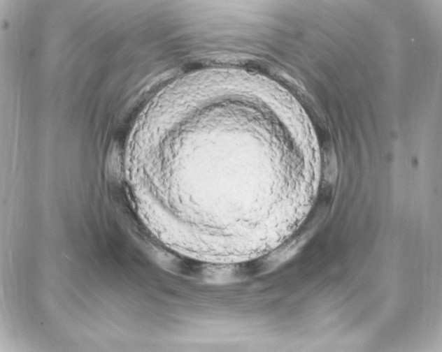 X0000087750143200706041111