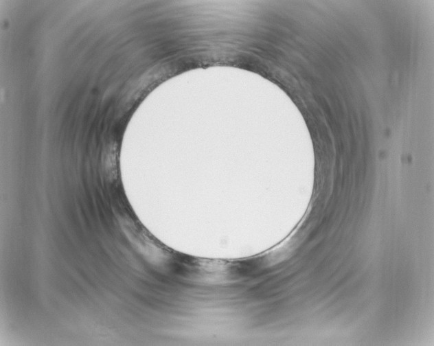 X0000087750144200706041111