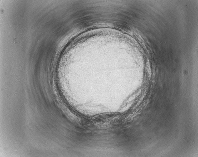 X0000087750145200706041110