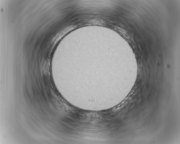 X0000087750146200706041110