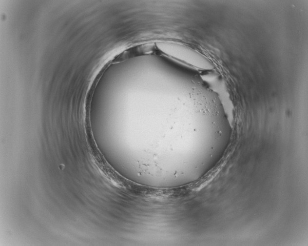 X0000087750148200706041110