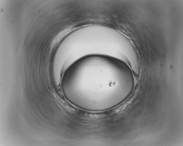 X0000087750149200706041110