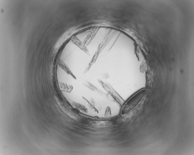 X0000087750151200706041110