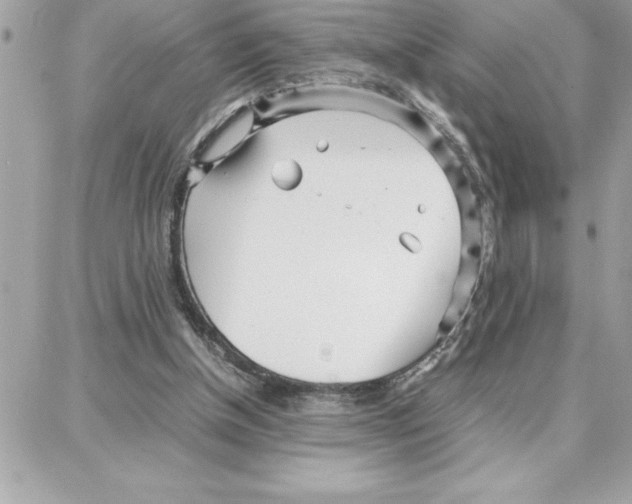 X0000087750154200706041110