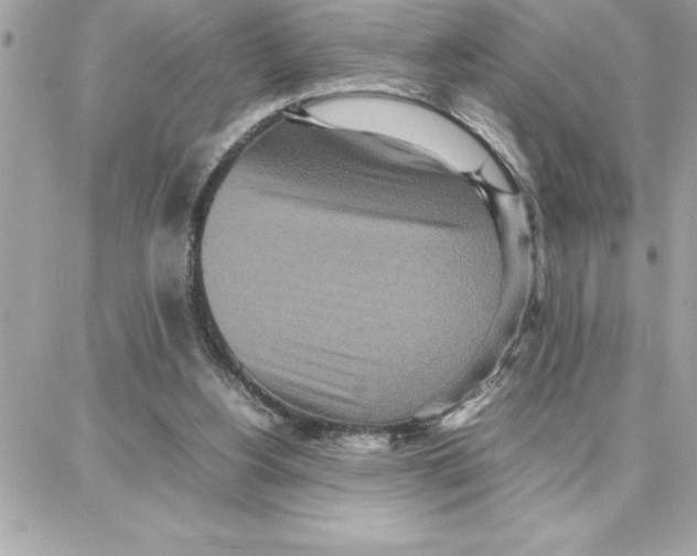 X0000087750156200706041110