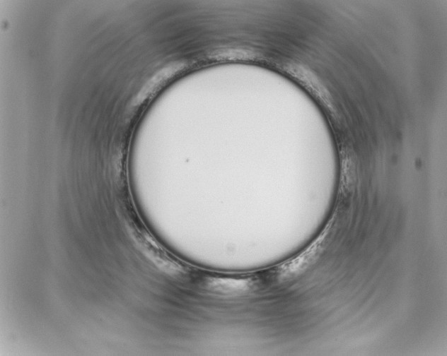 X0000087750159200706041110