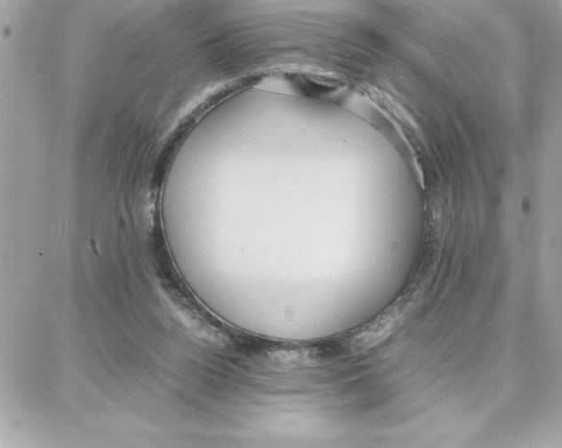 X0000087750160200706041110