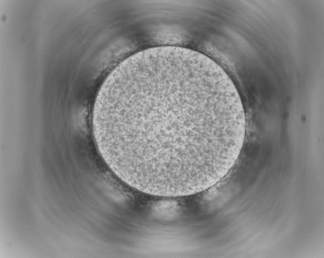 X0000087750162200706041110