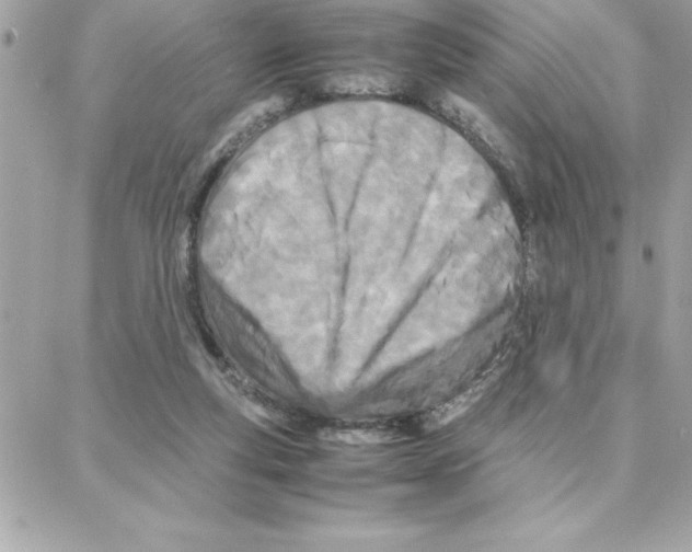 X0000087750163200706041110