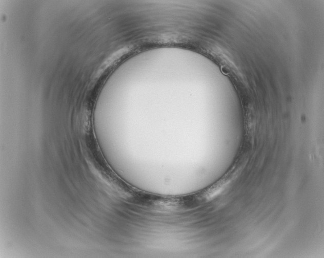 X0000087750164200706041110