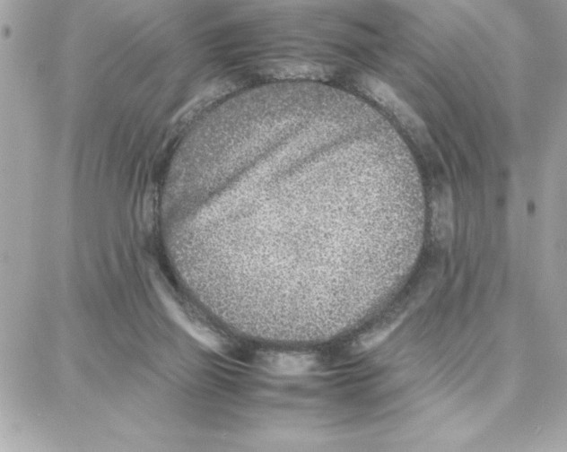 X0000087750165200706041110