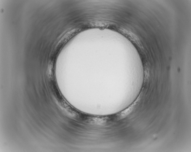 X0000087750166200706041110