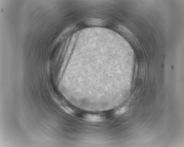 X0000087750167200706041110