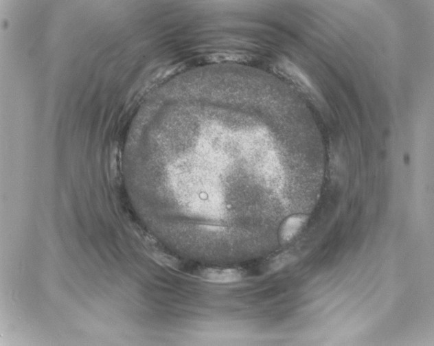 X0000087750169200706041110