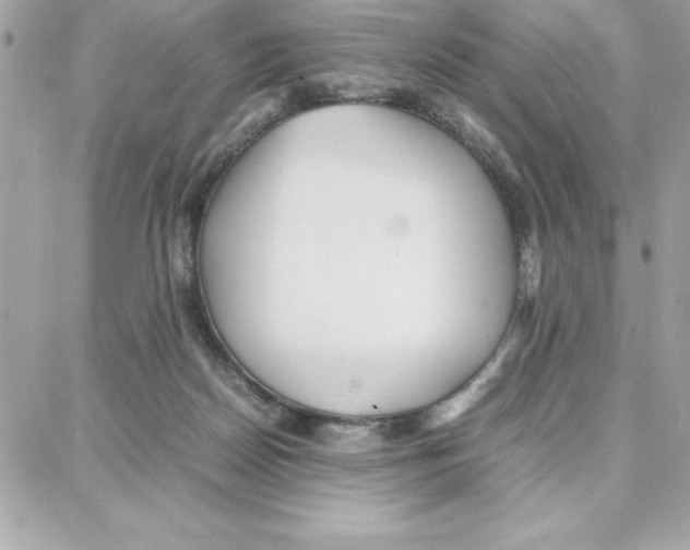 X0000087750170200706041110