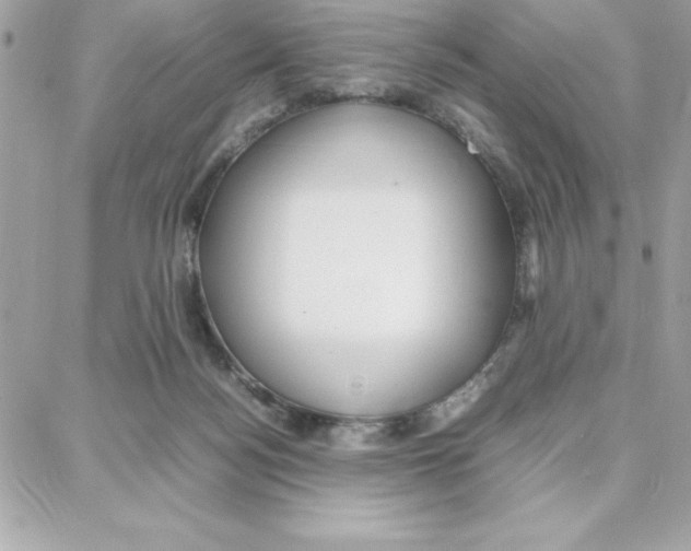 X0000087750172200706041110