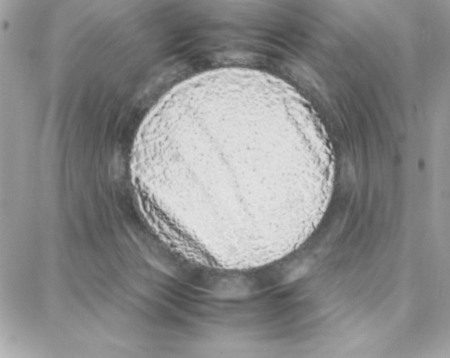 X0000087750173200706041110