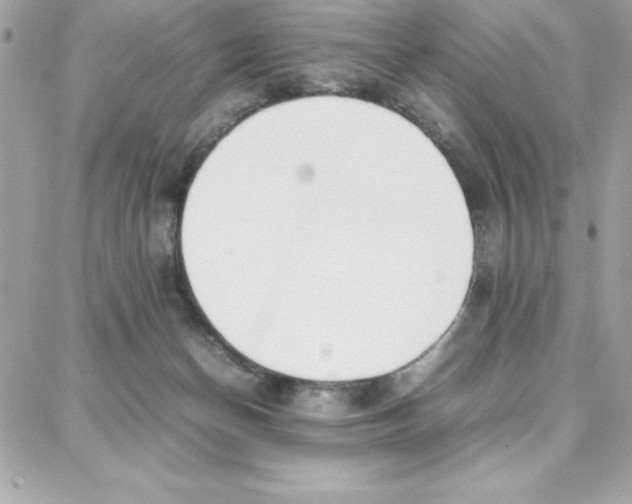 X0000087750174200706041110