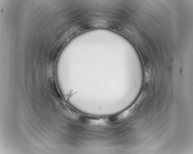 X0000087750175200706041110