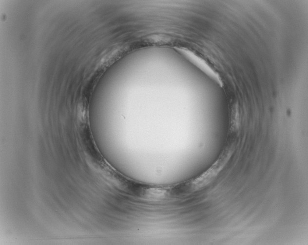 X0000087750176200706041110