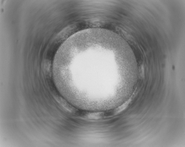 X0000087750178200706041110