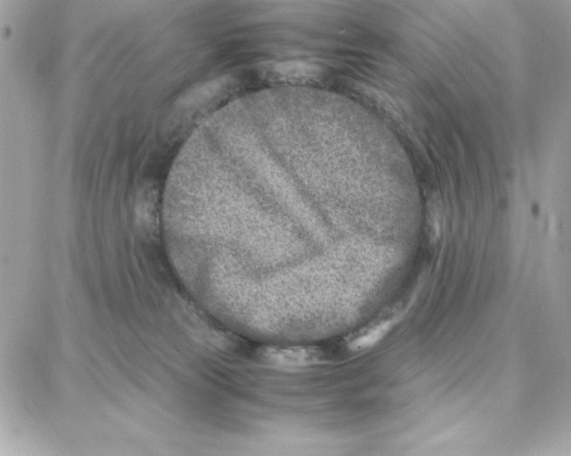 X0000087750181200706041111