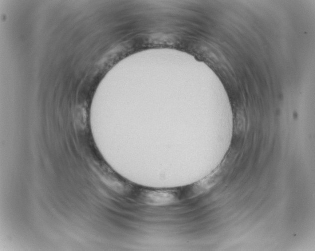 X0000087750183200706041111