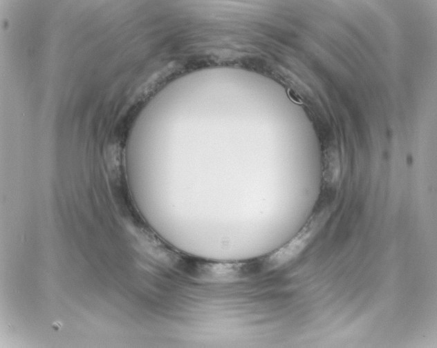 X0000087750184200706041111