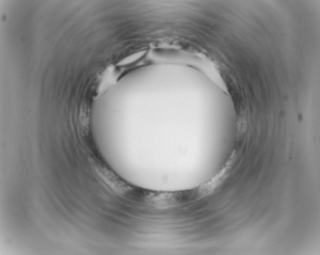 X0000087750186200706041111